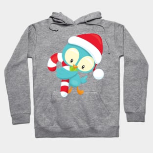 Christmas Bird, Cute Bird, Santa Hat, Candy Cane Hoodie